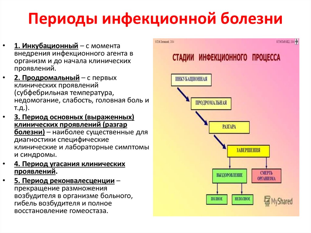 Этапы болезни. Периоды развития инфекционной болезни. Этапы развития инфекционного заболевания. Перечислите периоды развития инфекционных болезней. Назовите и охарактеризуйте периоды течения инфекционной болезни.