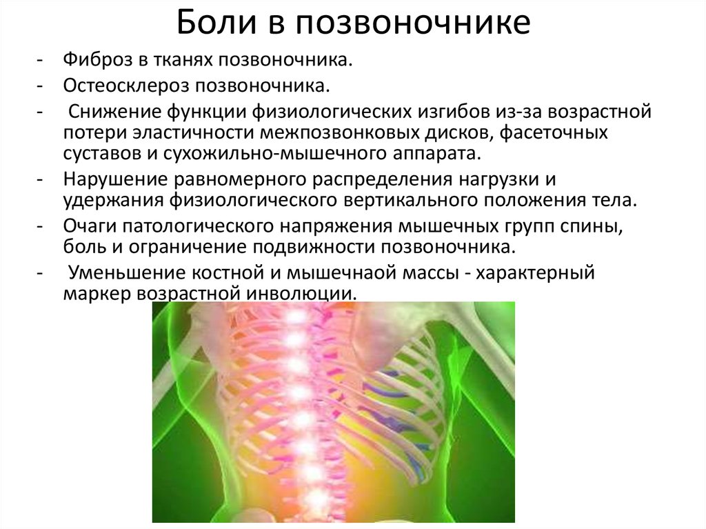 Фиброз тканей. Фиброз мышечных волокон. Фиброз мышечной ткани спины.