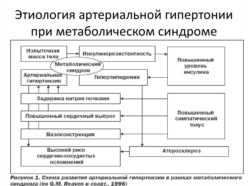 Этиология артериальной гипертензии