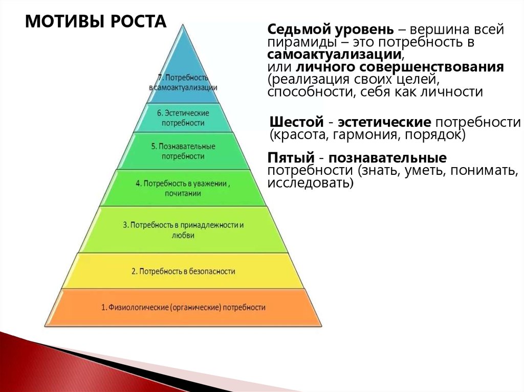 Познавательные потребности