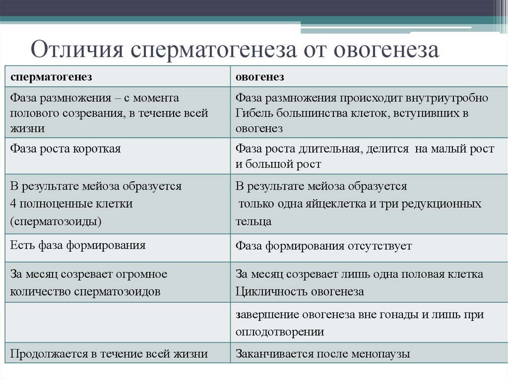 Что общего между картинками фотострана