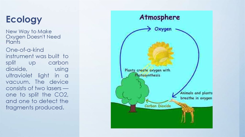 Use carbon dioxide. Oxygen Carbon dioxide. Plants and Oxygen. Ecology Oxygen. Do Plants turn Carbon dioxide into Oxygen.
