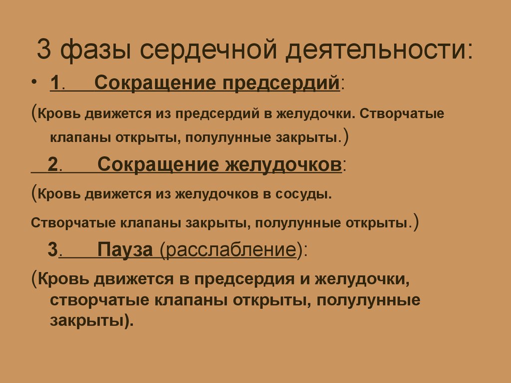 Сердечный каков. Фазы сердечной деятельности. 3 Фазы сердечной деятельности. Работа сердца фазы сердечной деятельности. Фазы сердечной деятельности кратко.