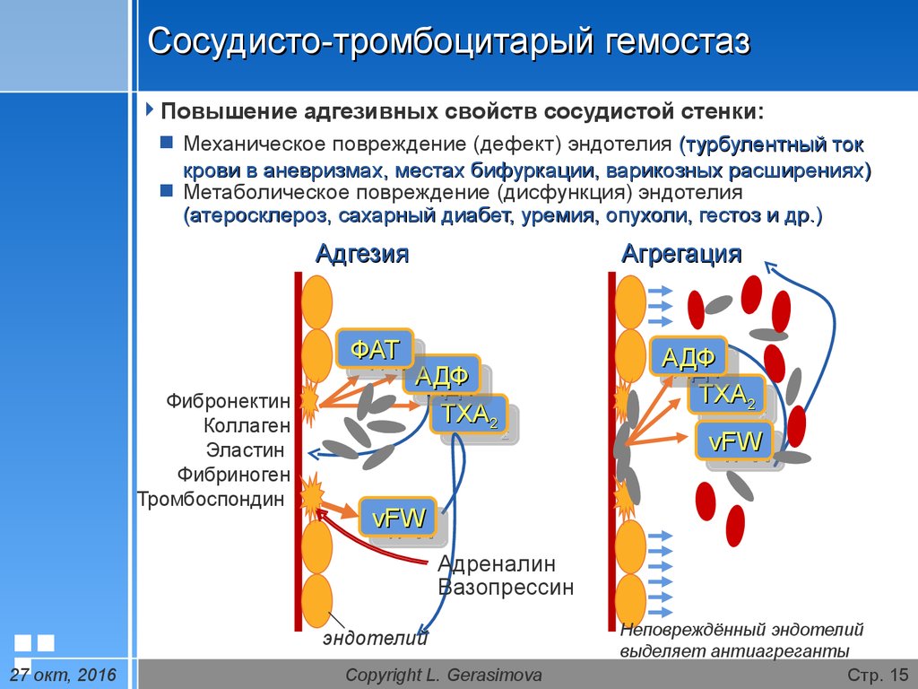 Тромбоз и гемостаз. Причины повреждения эндотелия сосудов. Повреждения эндотелия причины. Эндотелий сосудов гемостаз. Повреждение эндотелия капилляров.