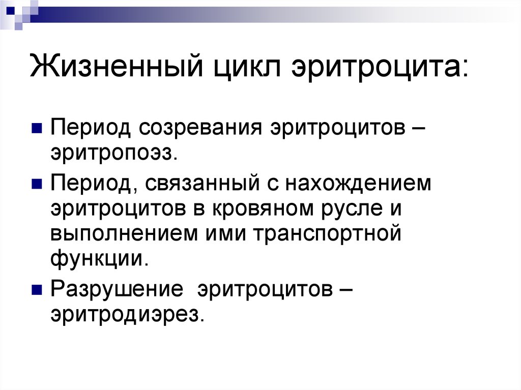 Период связанный. Цикл жизнедеятельности эритроцитов в норме. Жизненный цикл эритроцитов человека. Этапы жизненного цикла эритроцитов. Жизненный цикл эритроцитов эритропоэз.