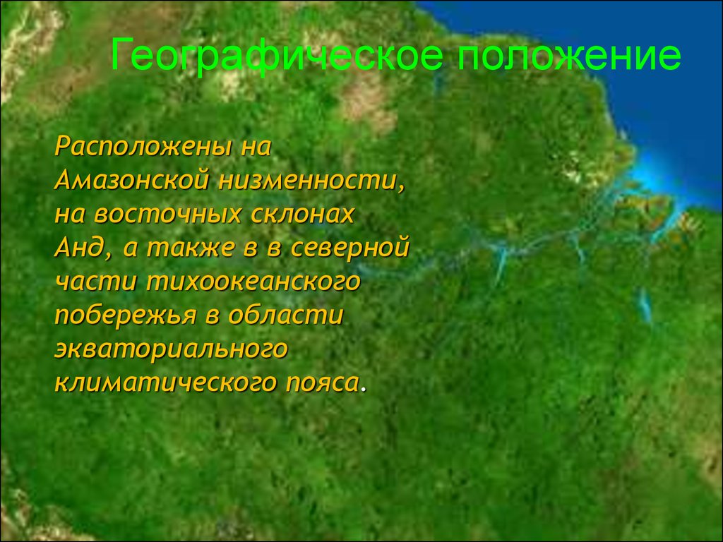 Географическое положение амазонской низменности