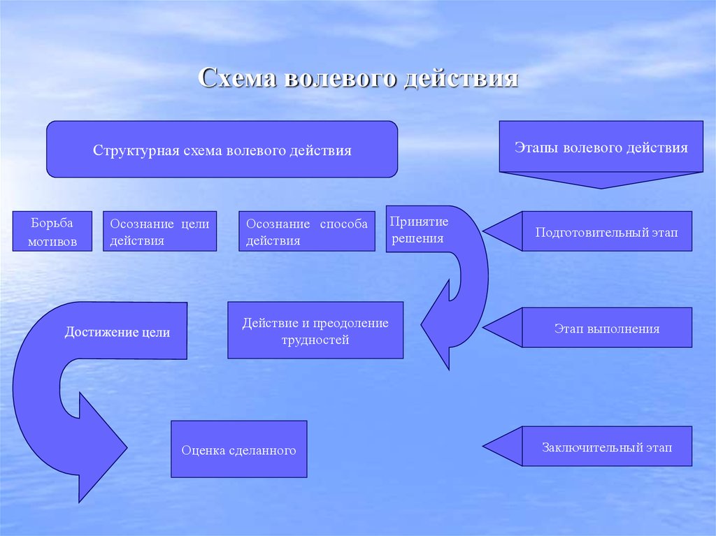 Заполните схему сложного волевого действия 5 этапов