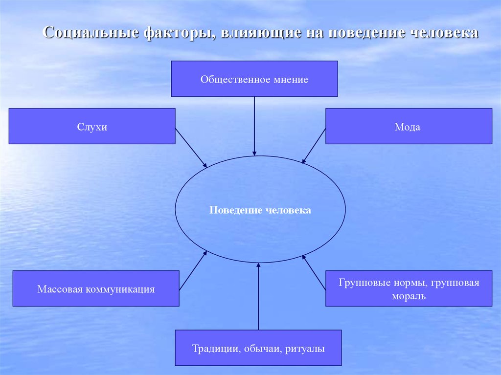 К социальным факторам влияющим на проект можно отнести