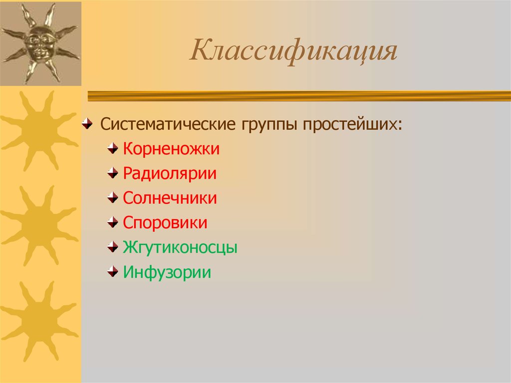 Различные группы простейших. Радиолярии солнечники Споровики. Систематические группы простейших. Систематические группы животных типа простейшие. Группы простейших.