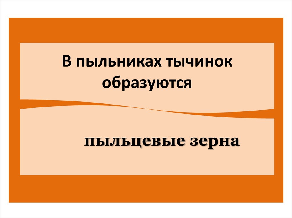 В пыльниках тычинок образуются