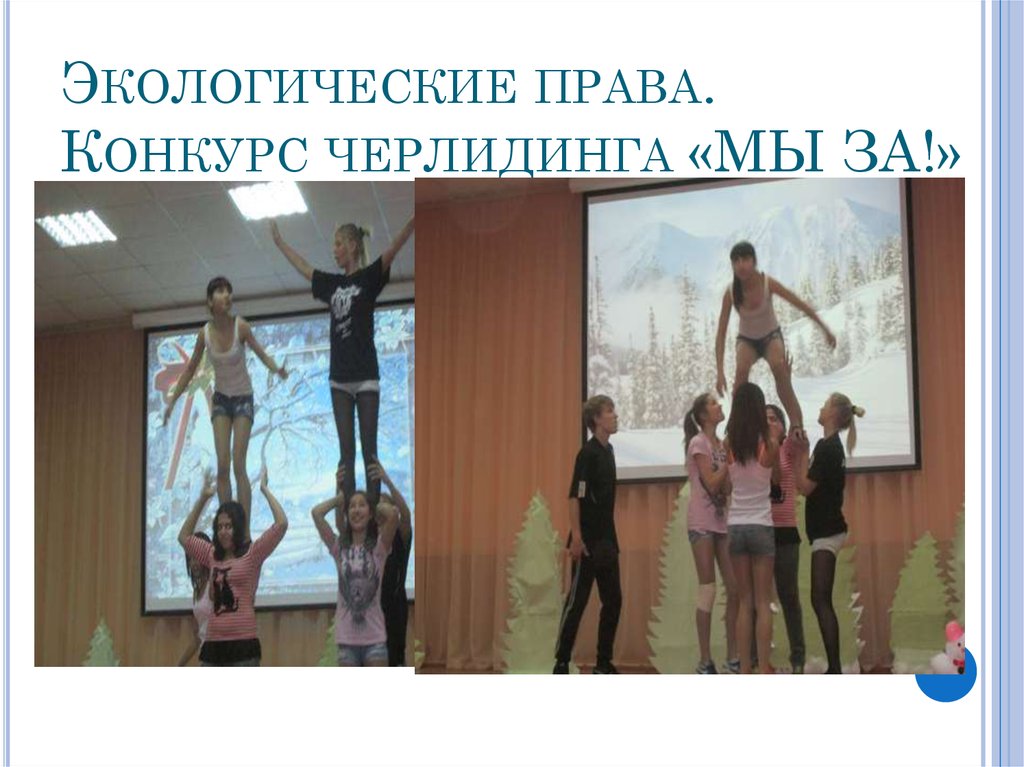 Экологические права. Конкурс черлидинга «МЫ ЗА!»