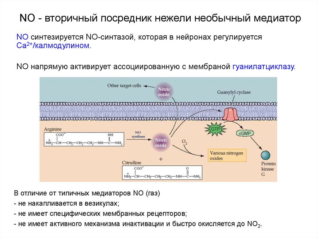 Вторичные посредники