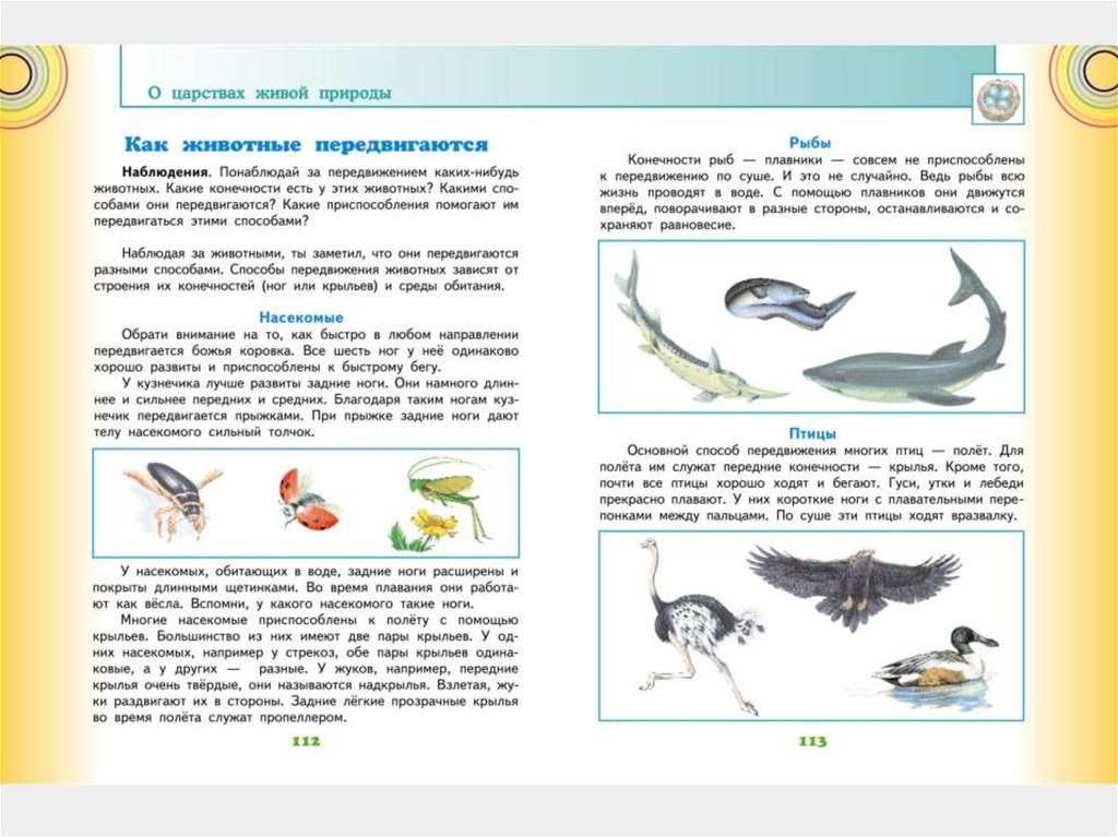 Роль учебника. Описать все курсы окружающего мира. Окружающий мир какие из этих животных приспособлены к плаванию в воде. Как животные передвигаются 3 класс окружающий мир учебник. У какого насекомого во время плавания задние ноги работают как весла.