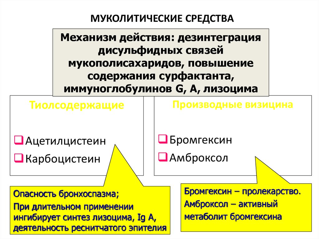 Отхаркивающие средства показания к применению. Муколитики и отхаркивающие классификация. Муколитические средства механизм действия. Механизм действия муколитических средств. Механизм действия отхаркивающих и муколитических средств.