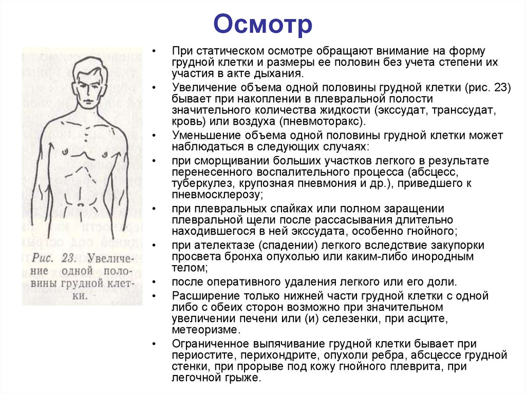 Правую половину грудной клетки