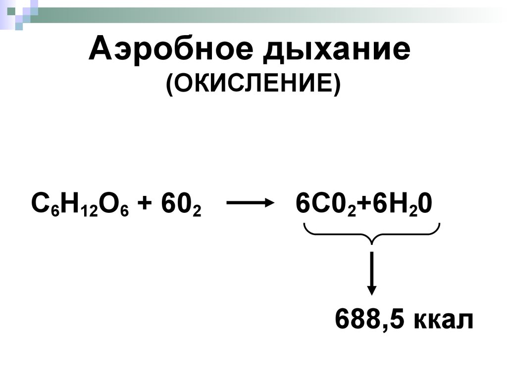 Аэробное дыхание презентация