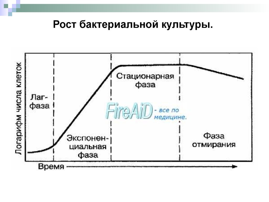 Рост бактерий. Логарифмическая фаза роста бактерий. Фазы роста и развития бактерий на питательной среде. Фазы роста микробной культуры. Лаг фаза роста бактерий.