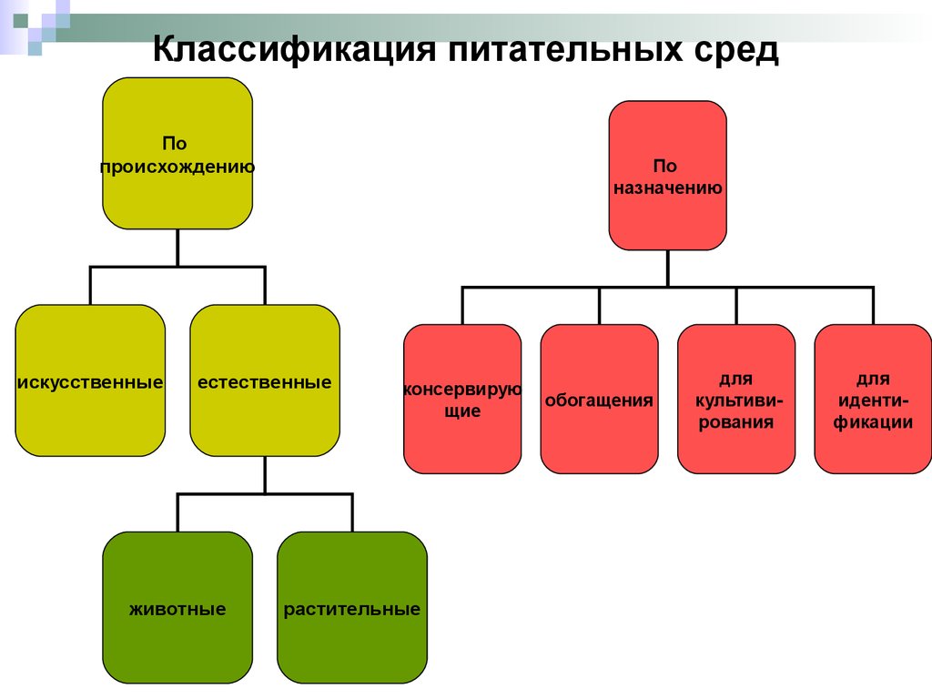 Питательные среды схема