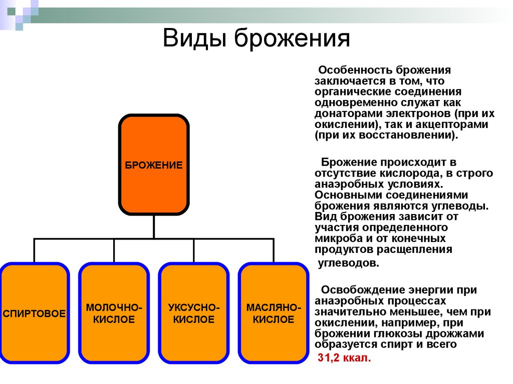 Общая схема брожения