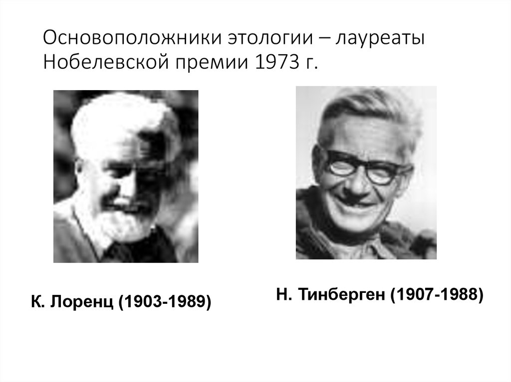 Объект этологии. Теория инстинкта Тинбергена.