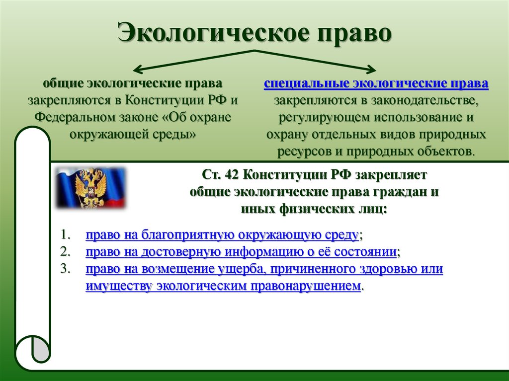 План по теме экологические права граждан и способы их защиты