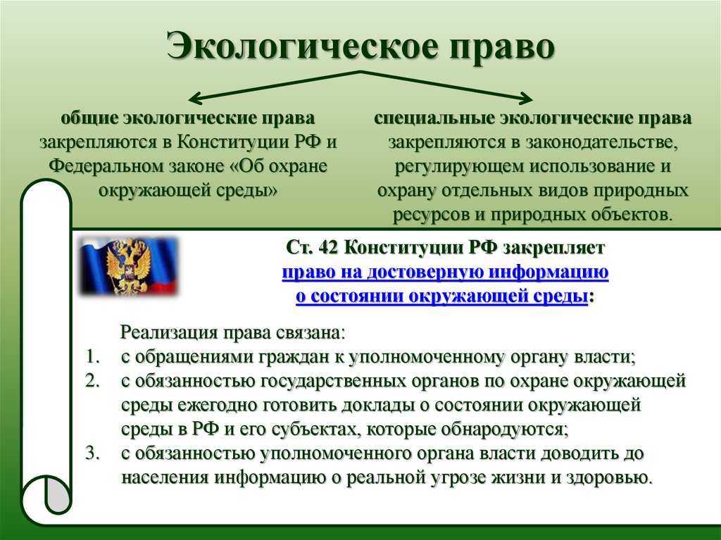 Гражданин доклад. Экологические права граждан. Экологические права и обязанности граждан. Экологические права граждан схема. Экологические права граждан закрепленные в Конституции РФ.