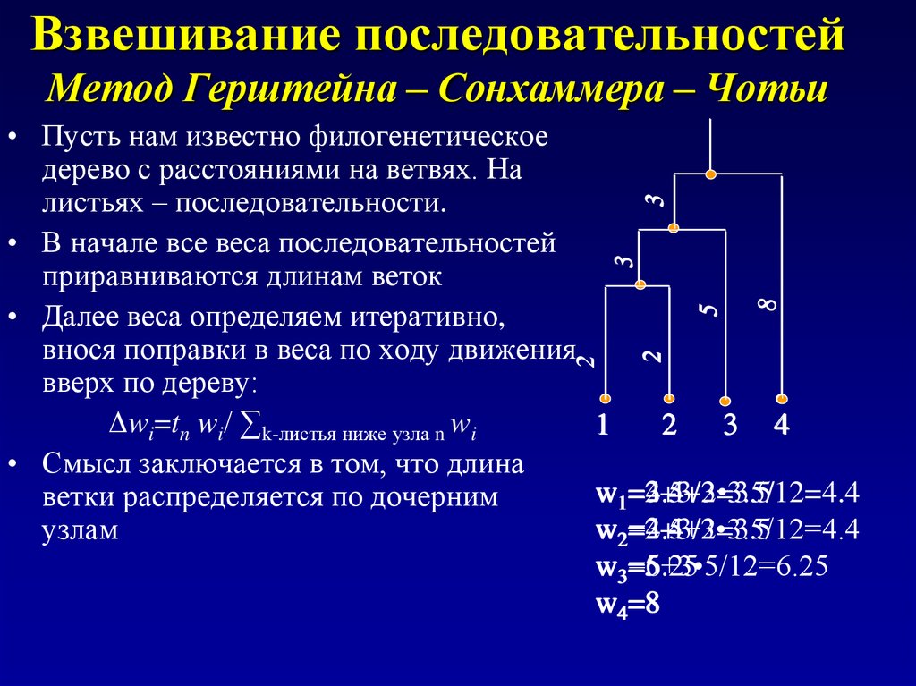 Порядок массы. Методика взвешивания. Метод двойного взвешивания. Метод последовательности. Последовательность взвешивания.