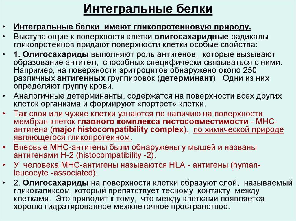 Функции мембранных белков. Интегральные белки. Функции интегральных белков. Интегральные мембранные белки взаимодействуют с:. Интегральные белки мембраны функции.