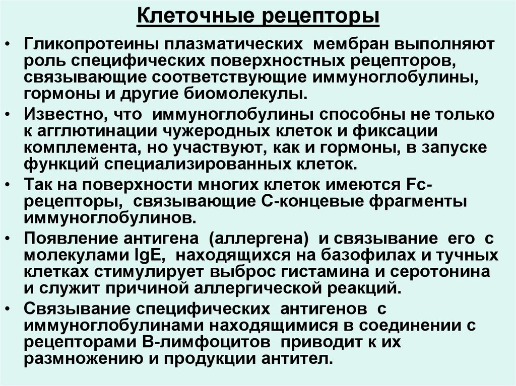 Рецептор клетки. Клеточные рецепторы. Типы клеточных рецепторов. Строение клеточного рецептора физиология. Клеточный Рецептор это в физиологии.