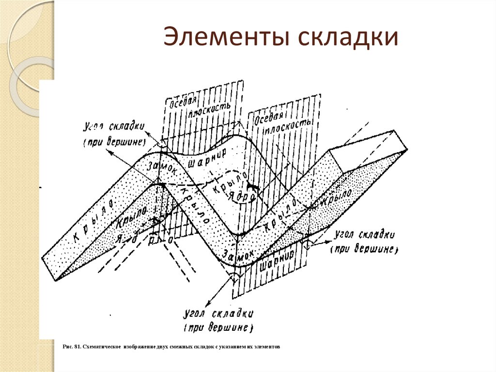 Назовите форму дислокации горных пород изображенную на схеме