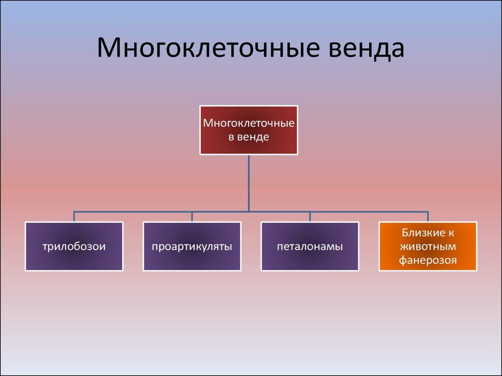 Империя многоклеточные