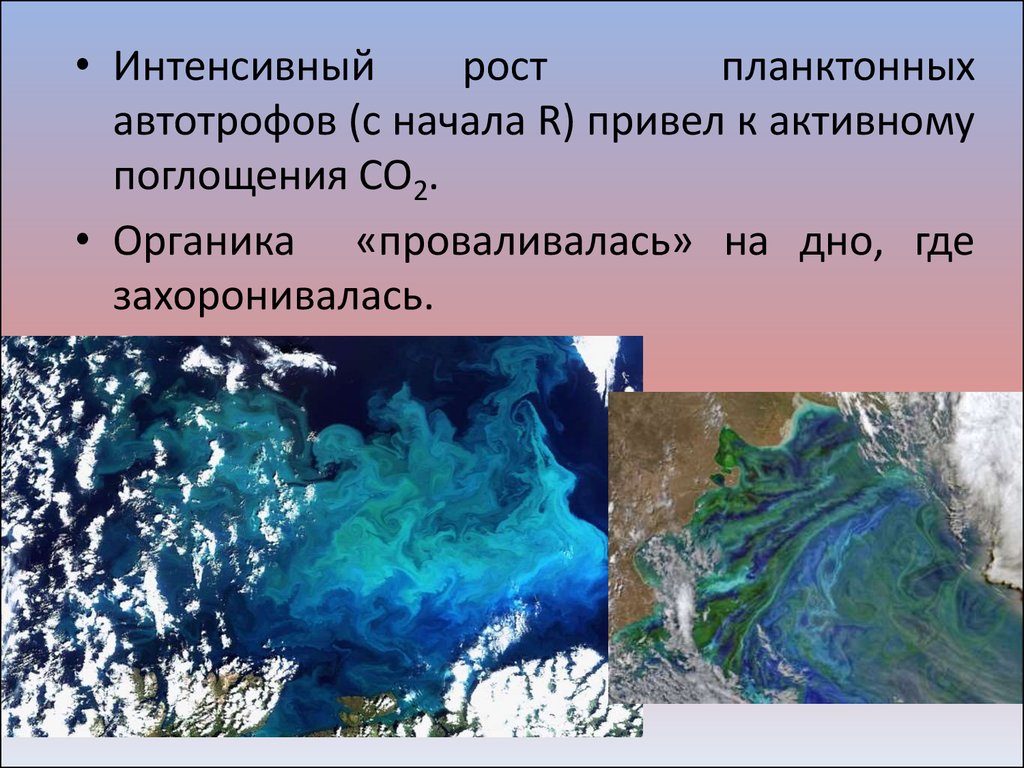 Вендский период презентация