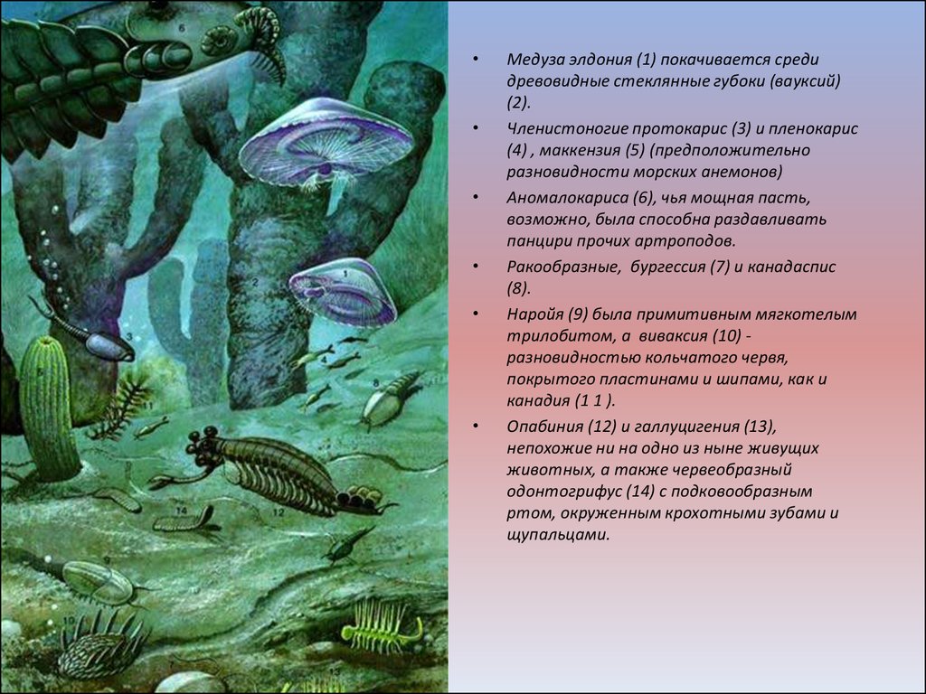 Вендский период презентация