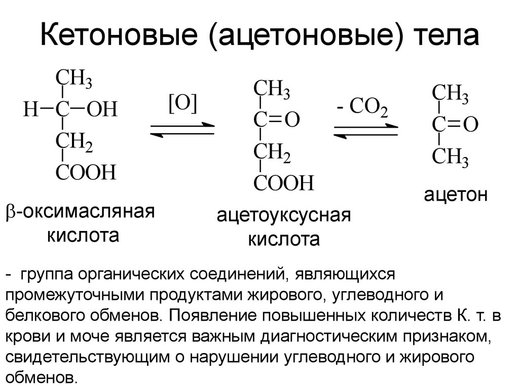 Кетоновые тела презентация