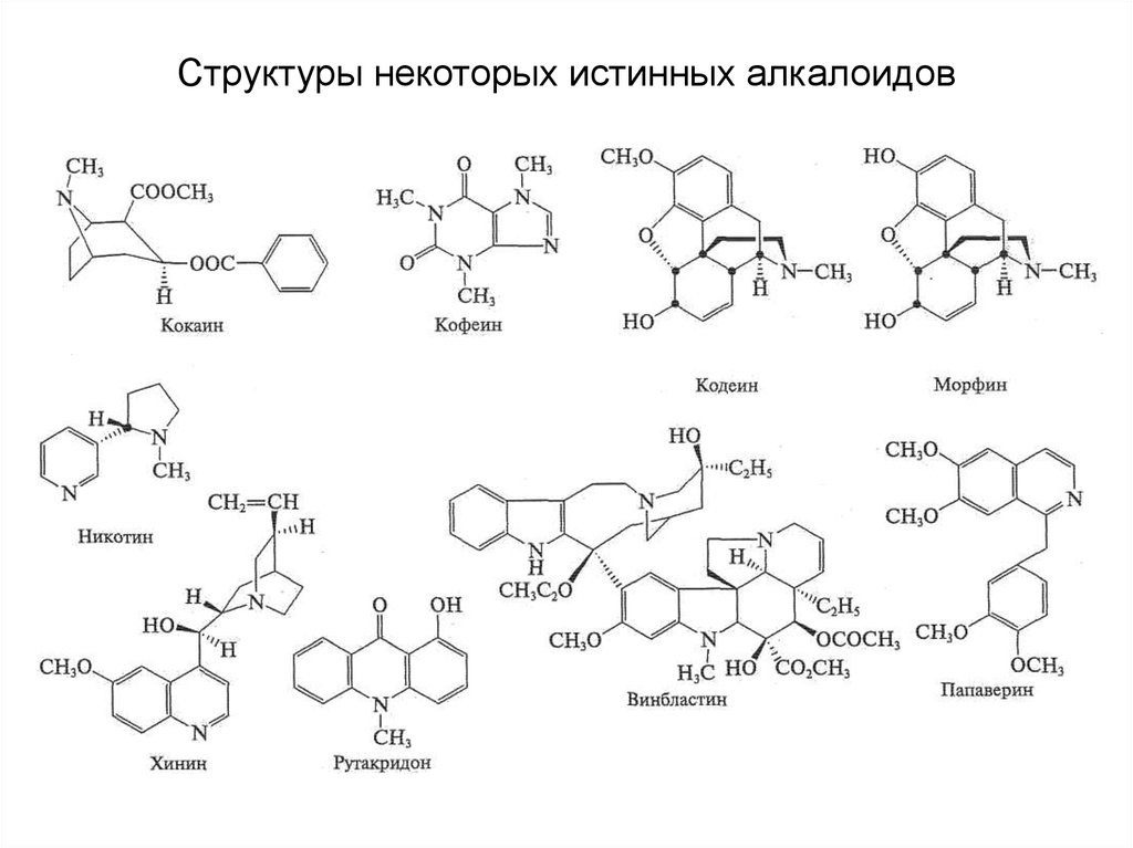 Укажите структурные. Алкалоиды формула химическая. Алкалоиды структурная формула. Алкалоиды химическое строение. Алкалоиды общая формула.