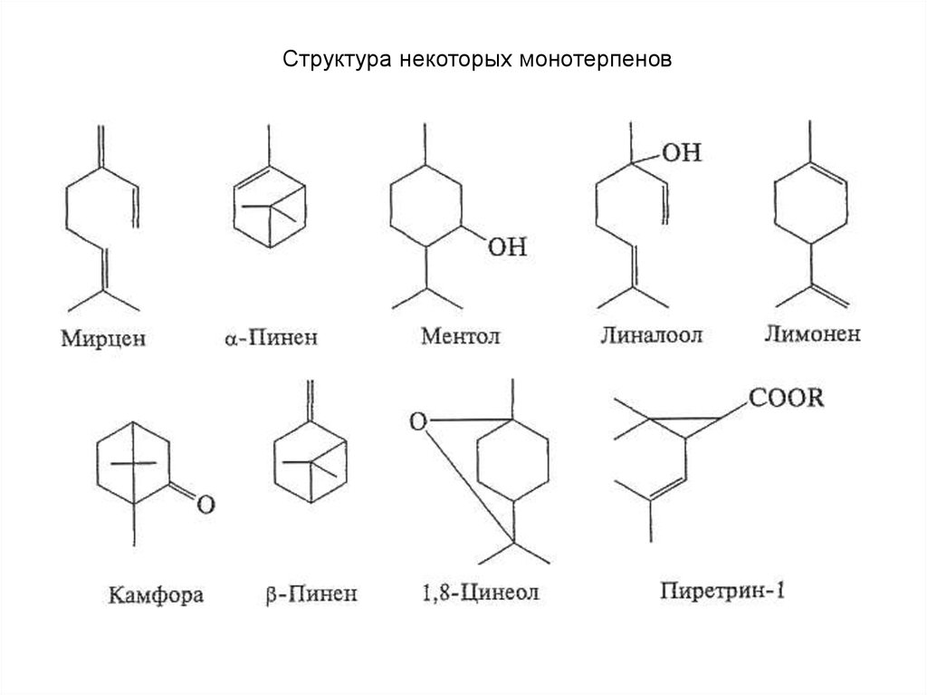 Строение некоторые. Ациклические монотерпены формула. Алифатические монотерпены. Монотерпены и монотерпеноиды. Монотерпен формула структурная.