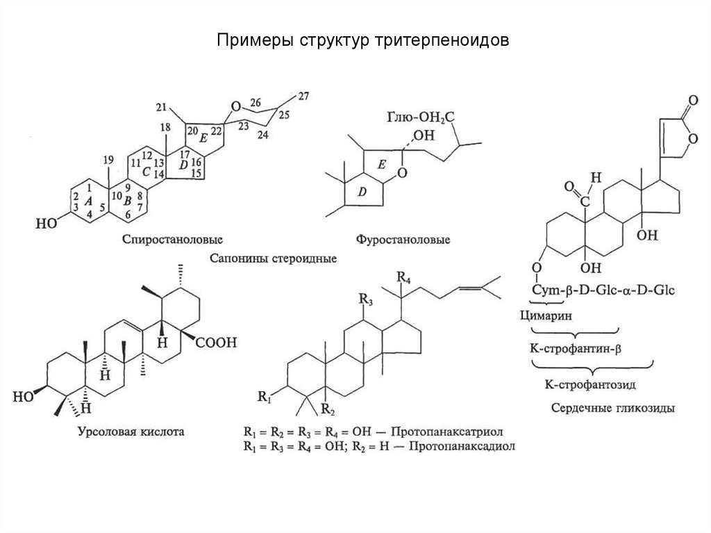 Стероидные сапонины