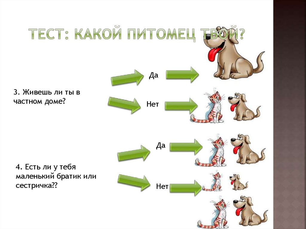 Твой пит. Тест какой твой питомец. Тест каким животным хочет стать ребëнок. Тест какой пет больше ценится.