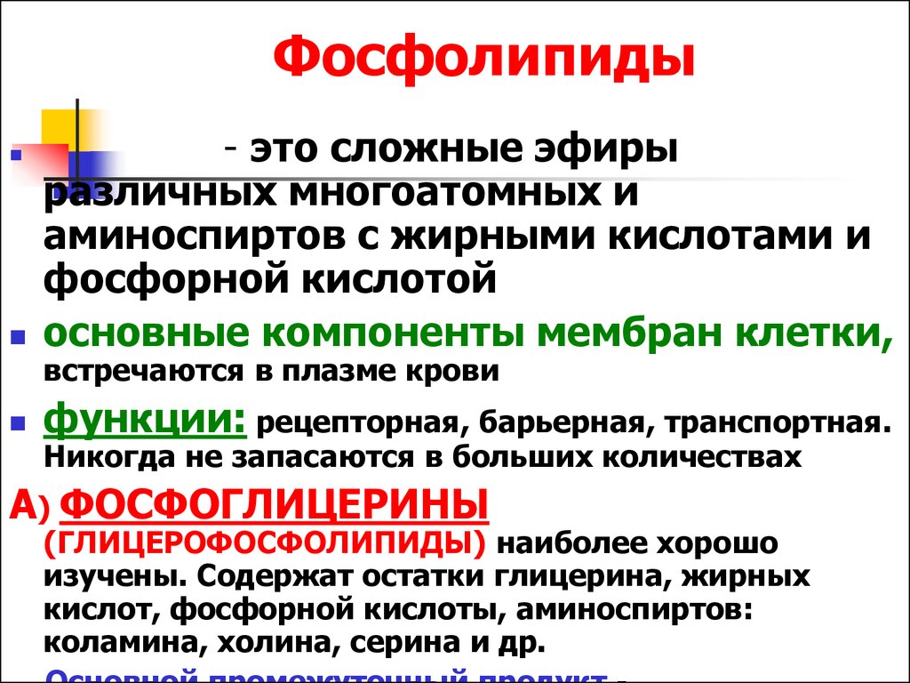 Фосфолипиды это. Фосфолипиды. Фосфолипиды функции. Основная функция фосфолипидов в организме. Основные функции фосфолипидов.