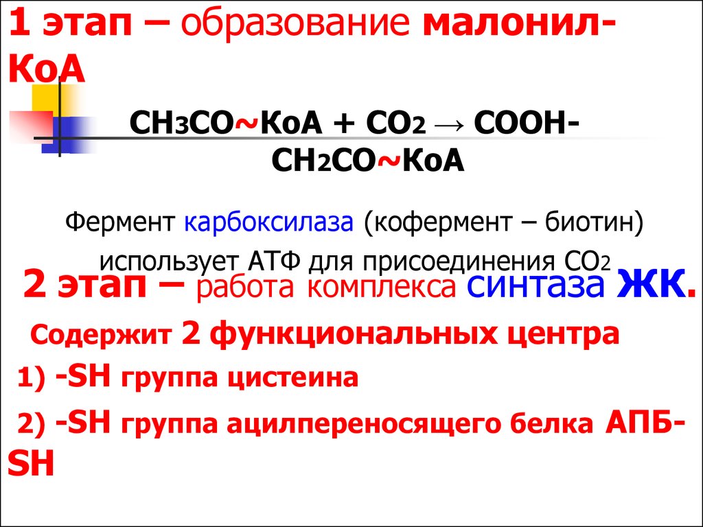 Этапы образования групп