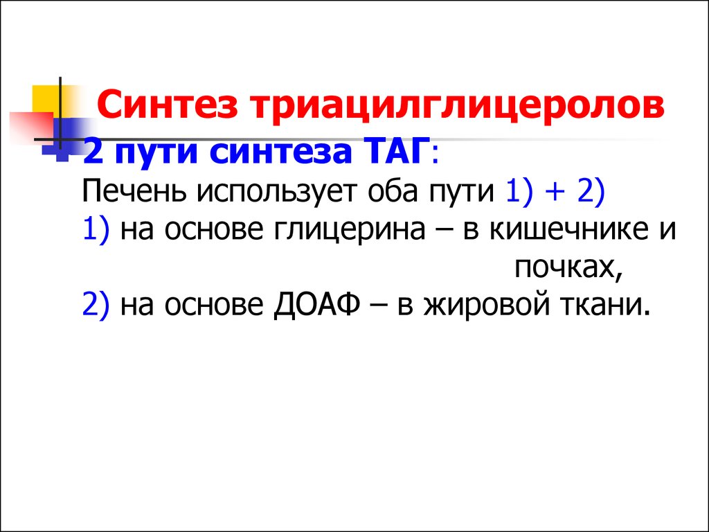 Синтез таг. Синтиез триацил глицерола. Триацилглицериды Синтез. Синтез таг в жировой ткани.