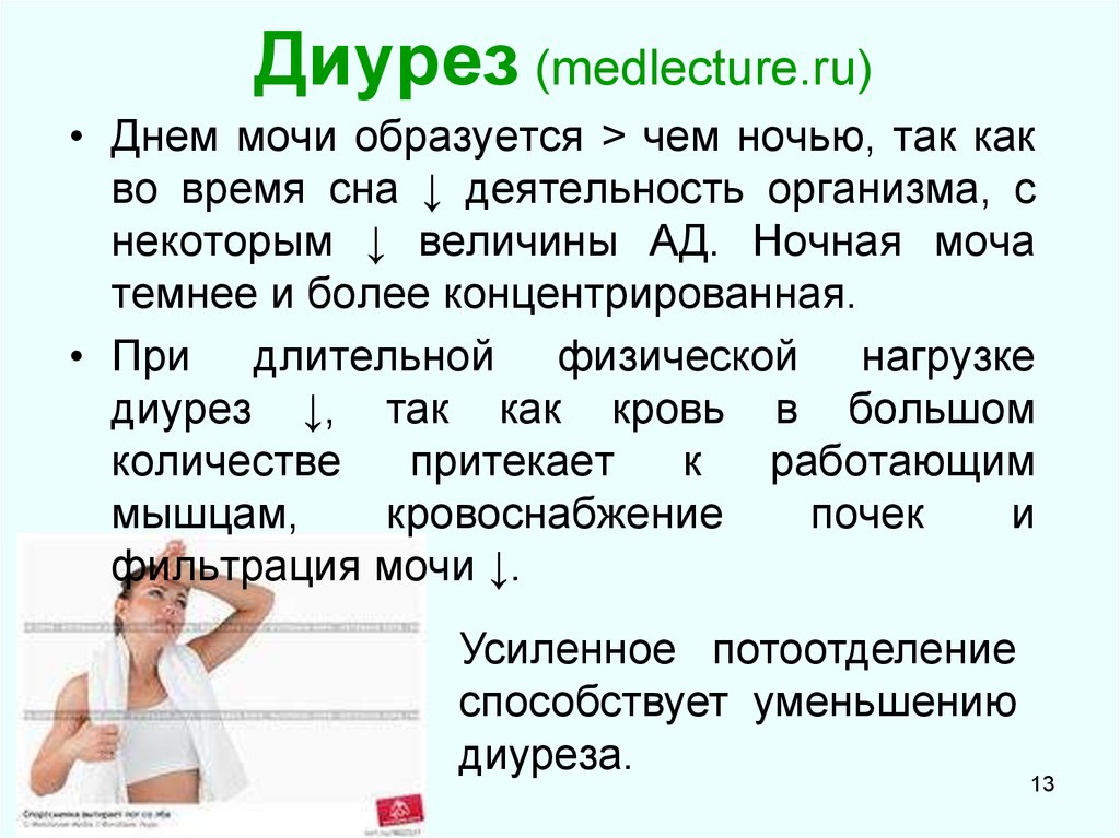 Ночной диурез. Диурез. Понятие о диурезе. Диурез это в медицине. Формы нарушения диуреза.