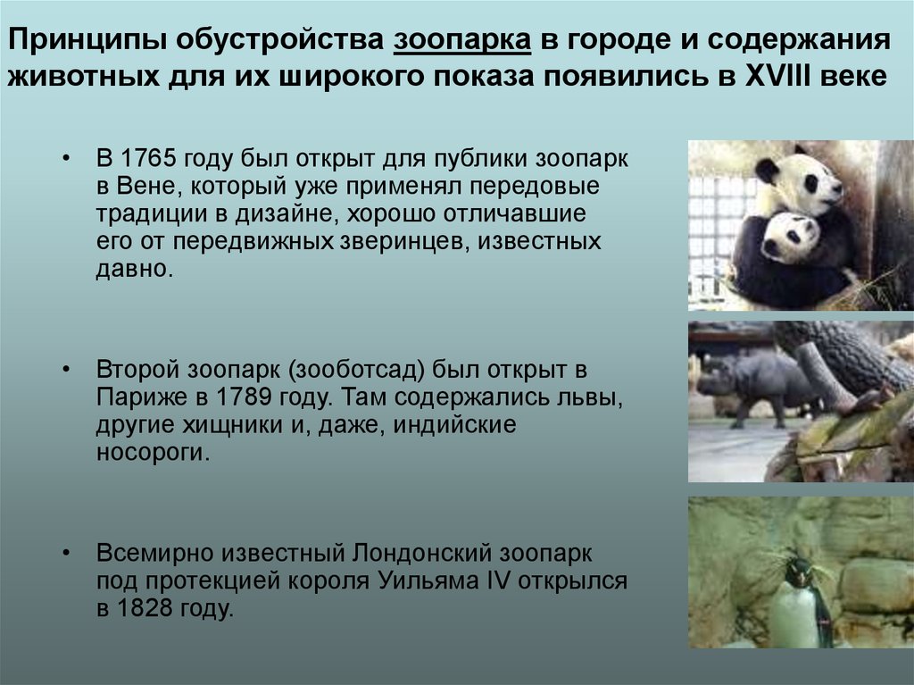 Принципы обустройства зоопарка в городе и содержания животных для их широкого показа появились в XVIII веке