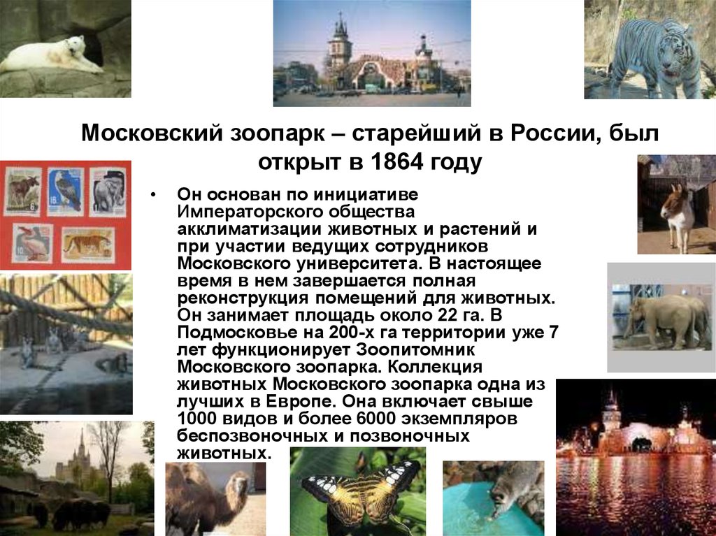 Текст moscow zoo. Московский зоопарк история кратко. Доклад для 2 класса достопримечательности Московский зоопарк. Московский зоопарк сообщение 2 класс. Московский зоопарк рассказ.