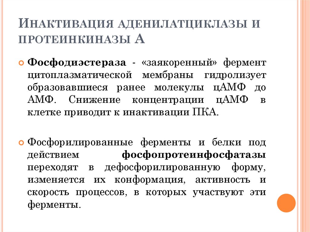 Фосфодиэстераза. Инактивация аденилатциклазной системы. Фосфодиэстераза биохимия. Роль аденилатциклазы и фосфодиэстеразы. Протеинкиназы.