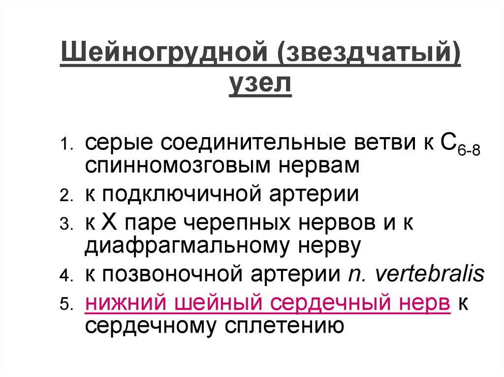 Серые соединительные ветви. Шейногрудной (звездчатый) узел. Соединительная ветвь функции.