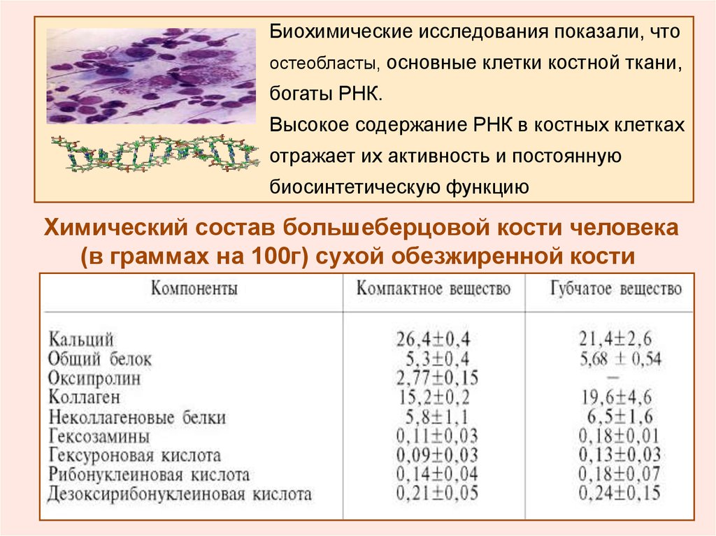 Минеральные компоненты костной ткани