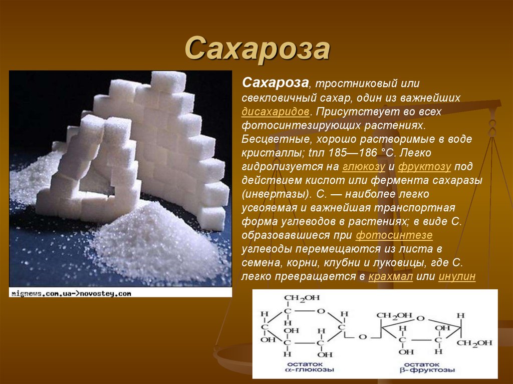 Сахароза геншин фото. Сахароза Геншин. Сахароза (тростниковый, свекловичный сахар). Химическая формула тростникового сахара. Сахароза или сахар.