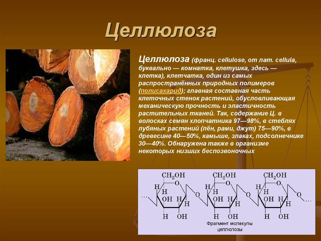 Целлюлоза дерева. Целлюлоза. Целлюлозная стенка. Целлюлоза в клетках растений. Древесина клетки Целлюлоза.