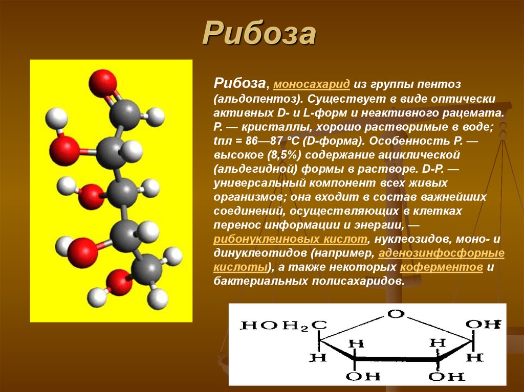Рибоза характеристика. Рибоза химическая структура. Химическое строение рибозы. Рибозо биологическая роль. Биологические функции рибозы.